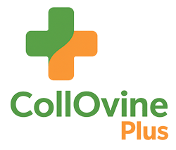 CollOvine Plus